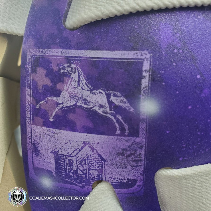 Sergei Bobrovsky Game Worn Goalie Mask 2022 Florida Panthers Hockey Fights Cancer Painted by DaveArt "Brick by Brick" HFC AS-02943 - SOLD