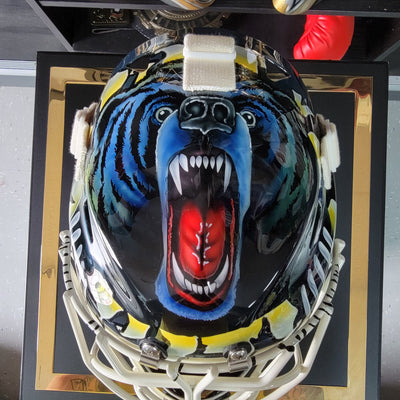Mask of the day: JON CASEY Boston Bruins Blue Bear!