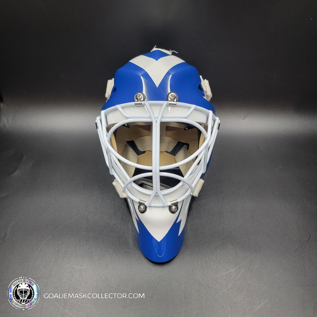 Allan Bester Goalie Mask Unsigned Toronto Tribute