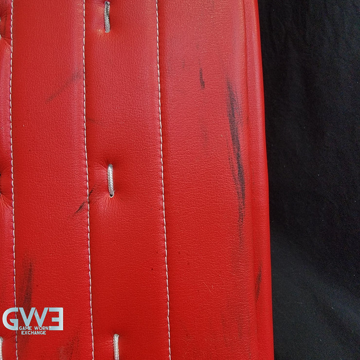 Ann-Renee Desbiens Game Used Goalie Pads 2024 Team Canada World Championship Gold Medal Winning Worn True Set Pads + Glove + Blocker Signed and Inscribed AS-03300