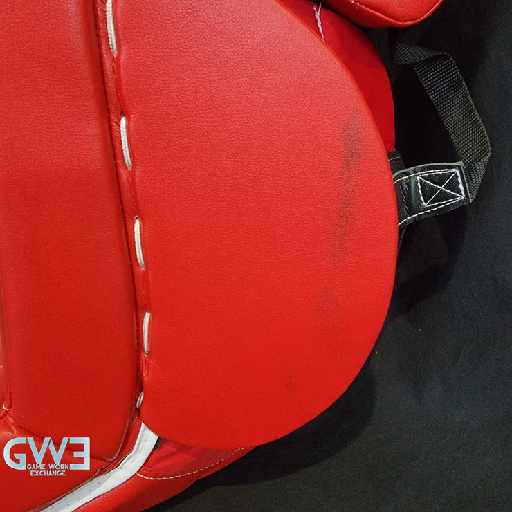 Ann-Renee Desbiens Game Used Goalie Pads 2024 Team Canada World Championship Gold Medal Winning Worn True Set Pads + Glove + Blocker Signed and Inscribed AS-03300
