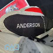 Craig Anderson Game Worn Used Goalie Glove And  Blocker 2014-15 Ottawa Senators