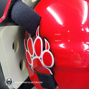 Curtis Joseph CUJO Signed Goalie Mask Detroit Mad Dog Signature Edition Autographed Tribute