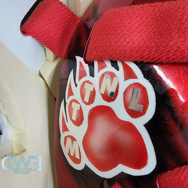 Curtis Joseph Game Issued Goalie Mask Detroit Red Wings Pro's Choice Dom Malerba 2002 Signed By Curtis Joseph - AS-01026