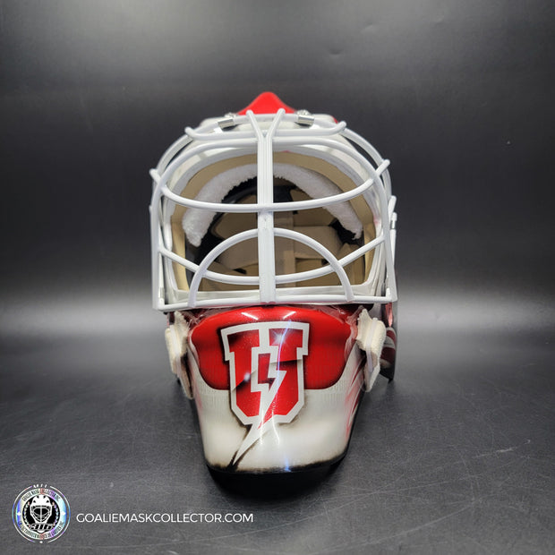 Custom Painted Goalie Mask: University Logos + Dogs