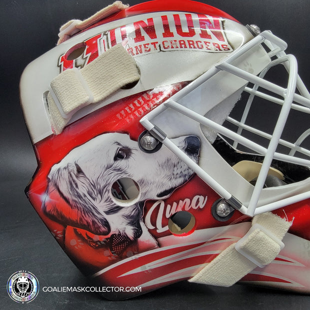 Custom Painted Goalie Mask: University Logos + Dogs