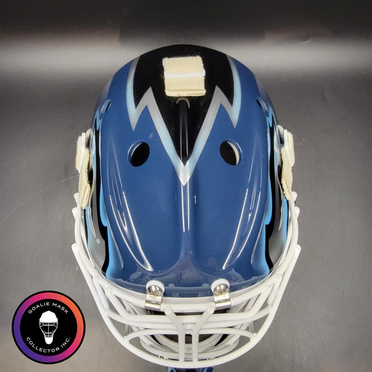 Custom Painted Goalie Mask: Felix Potvin Modernized with Silver Touches & Custom Grill
