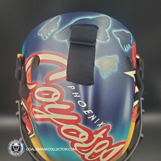 Custom Painted: Phoenix Coyotes Tribute