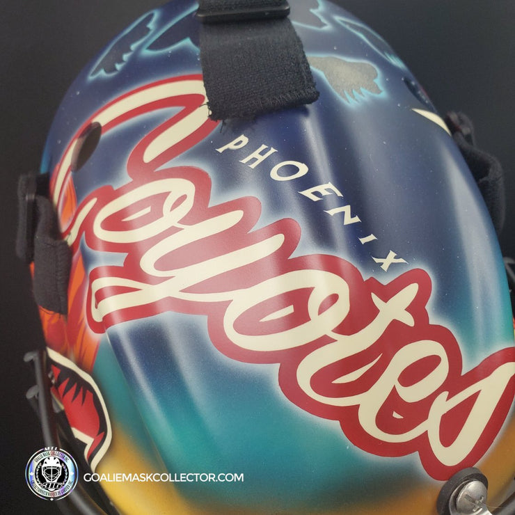 Custom Painted: Phoenix Coyotes Tribute