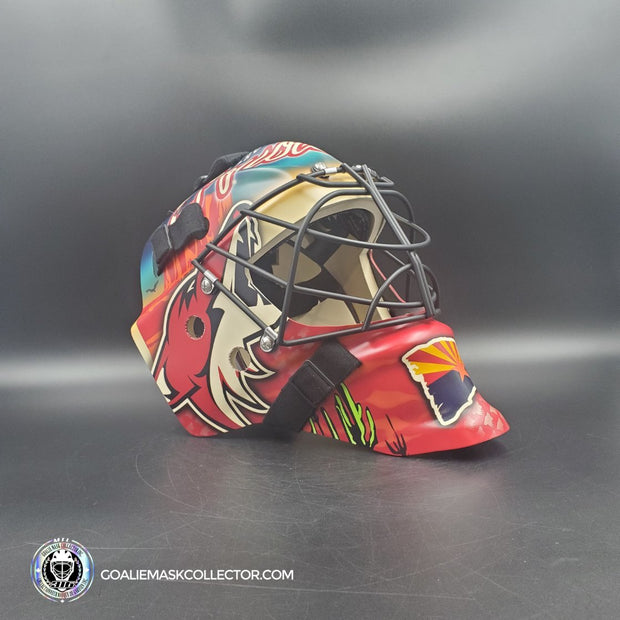 Custom Painted: Phoenix Coyotes Tribute