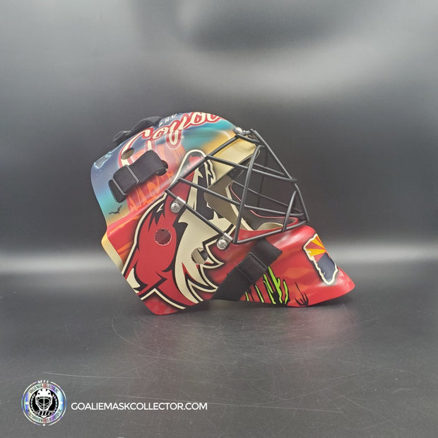 Custom Painted: Phoenix Coyotes Tribute