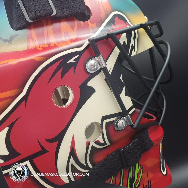 Custom Painted: Phoenix Coyotes Tribute