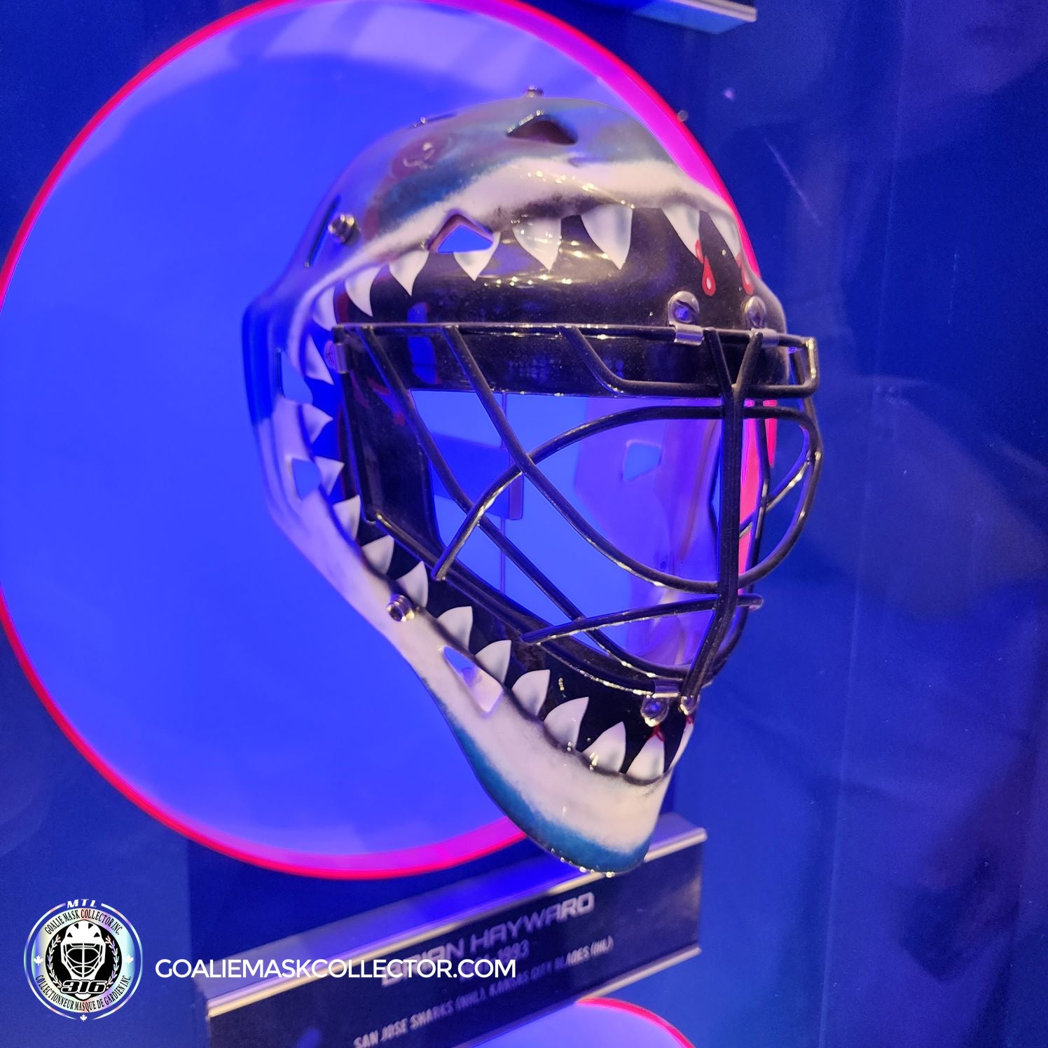 Brian Hayward Goalie Mask San Jose Sharks 1991/93 - HHOF Hockey 