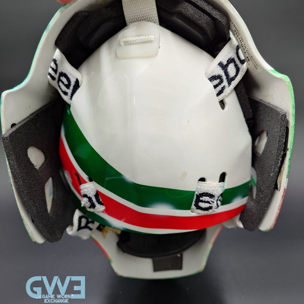 Mikael Tellqvist Goalie Mask Game Worn 2009-10 KHL AK-BARS Kazan Reebok and DaveArt Photo-Matched AS-03403