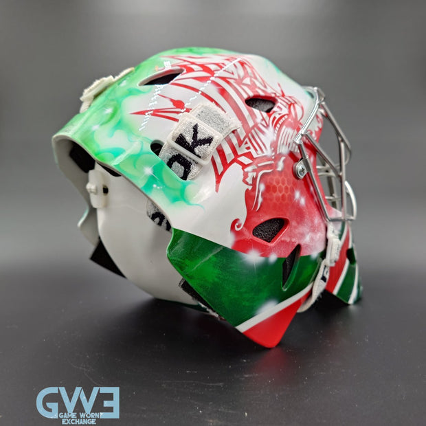 Mikael Tellqvist Goalie Mask Game Worn 2009-10 KHL AK-BARS Kazan Reebok and DaveArt Photo-Matched AS-03403
