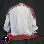 Patrick Roy 2001-2002 Colorado Avalanche Team-Signed Jersey CCM XL Autographed by Roy, Sakic, Forsberg, Blake, Hejduk AS-03522