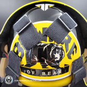 Tim Thomas MAGE Goalie Mask Boston 2009 Vezina Yellow Bear Signature Edition Painted on Sportmask Shell