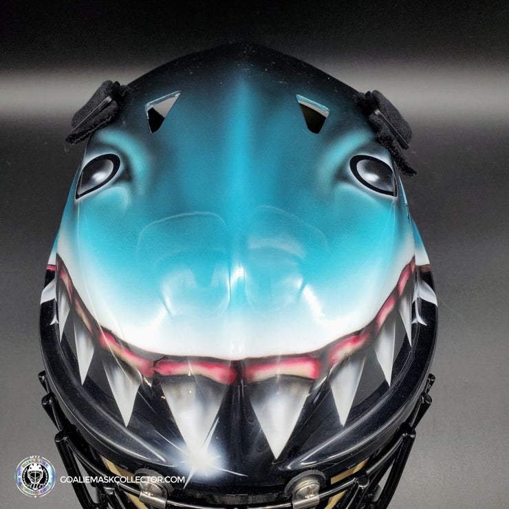 Best NHL goalie mask? This is Brian Hayward from the Sharks, a personal  favorite of mine from the 90's. : r/hockey