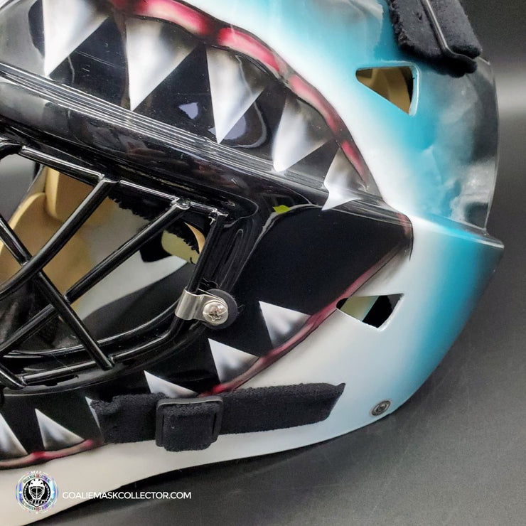 Brian Hayward San Jose Sharks  San jose sharks, Hockey, Goalie mask