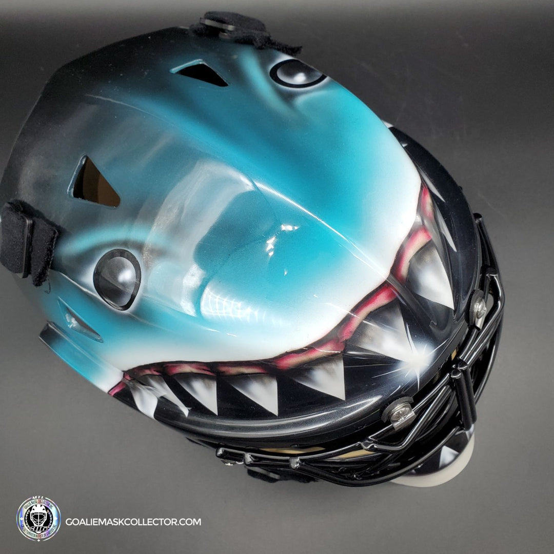 Brian Hayward Goalie Mask Unsigned San Jose V1 BEE316 Tribute – Goalie Mask Collector
