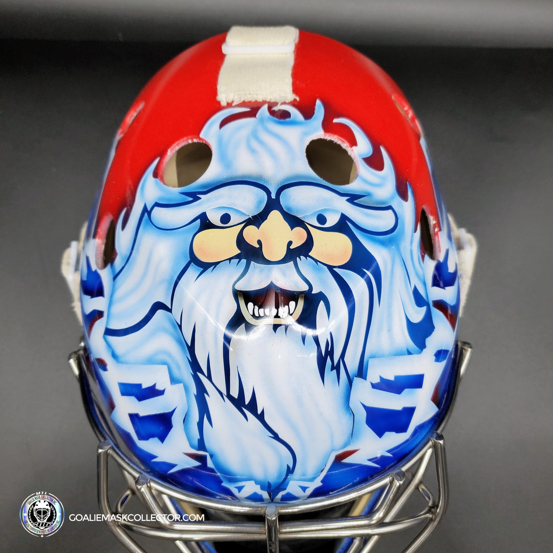 David Aebischer Goalie Mask Unsigned Montreal License Plate Tribute