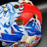 David Aebischer Goalie Mask Unsigned Montreal License Plate Tribute