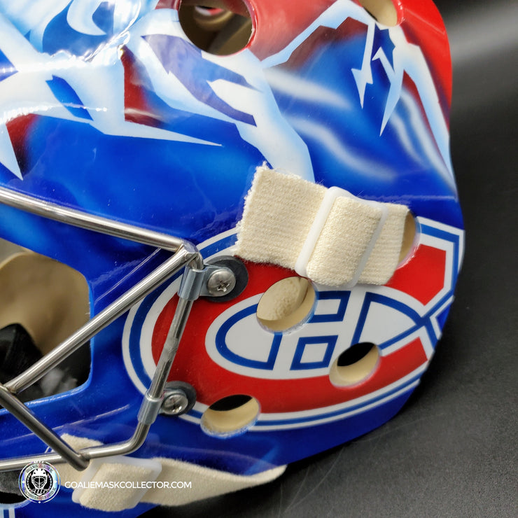 David Aebischer Goalie Mask Unsigned Montreal License Plate Tribute