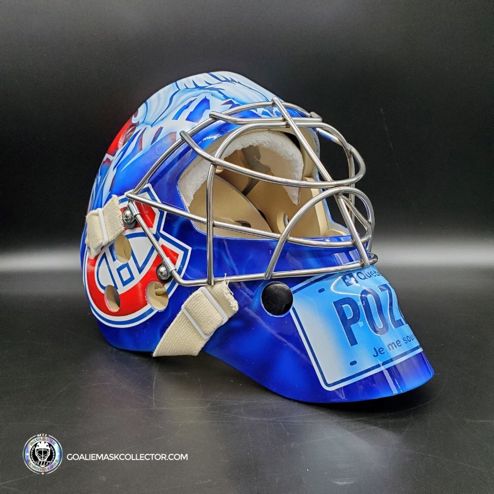 David Aebischer Goalie Mask Unsigned Montreal License Plate Tribute (custom touches)