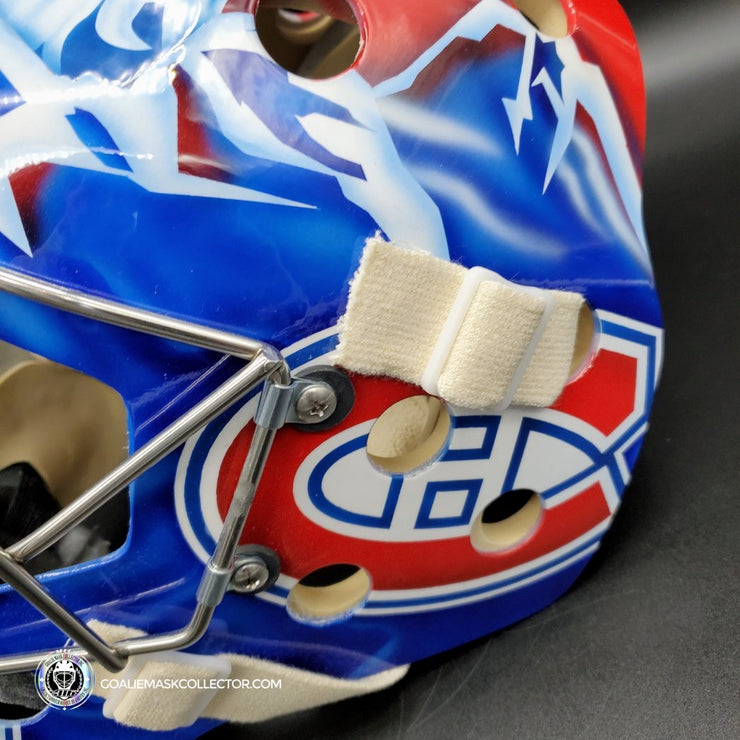 David Aebischer Goalie Mask Unsigned Montreal License Plate Tribute (c –  Goalie Mask Collector