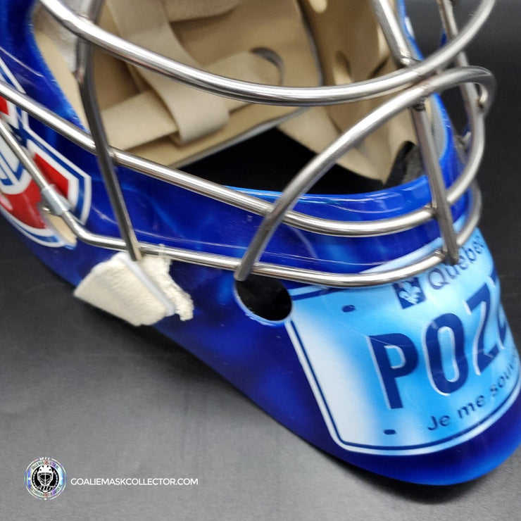 David Aebischer Goalie Mask Unsigned Montreal License Plate Tribute (custom touches)
