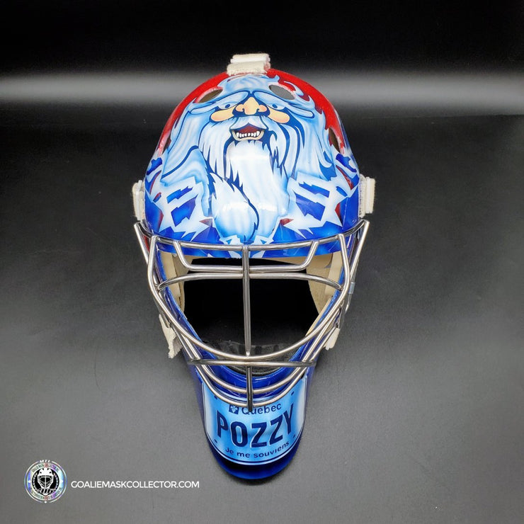 David Aebischer Goalie Mask Unsigned Montreal License Plate Tribute (c –  Goalie Mask Collector