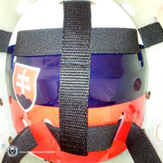 Jaroslav Halak Unsigned Goalie Mask St. Louis Tribute
